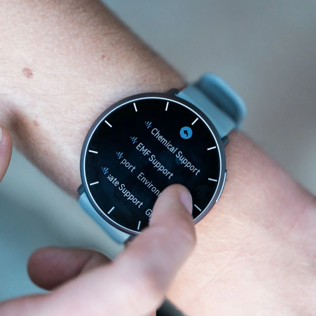 WAVwatch 2.2 - Image 11