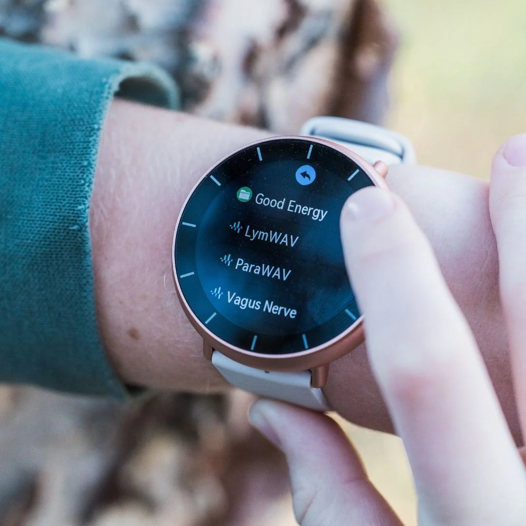 WAVwatch 2.2 - Image 12