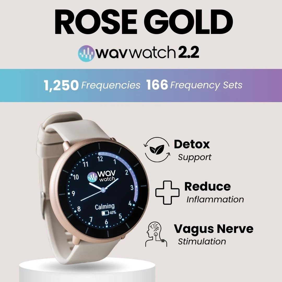 WAVwatch 2.2 - Image 14
