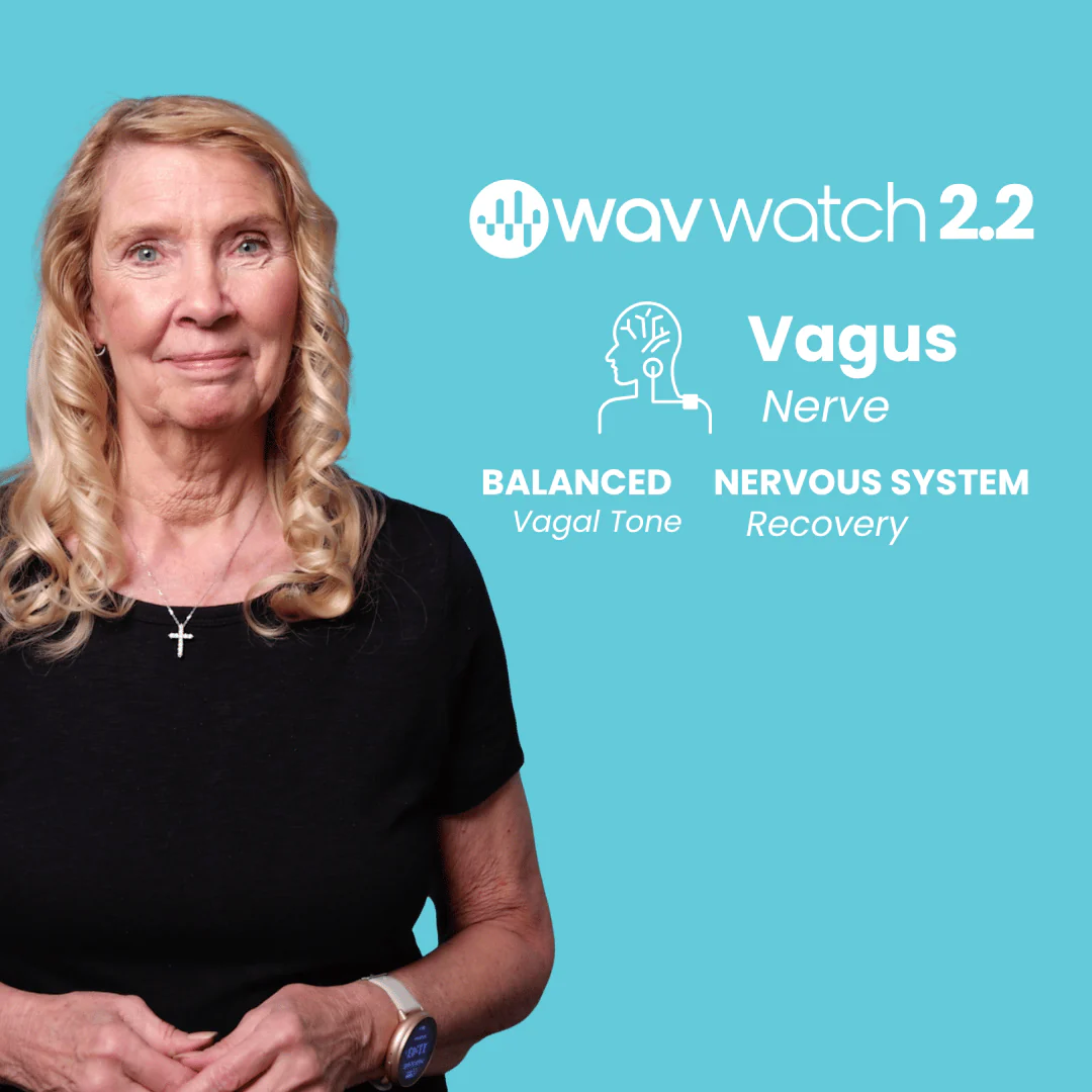WAVwatch 2.2 - Image 4